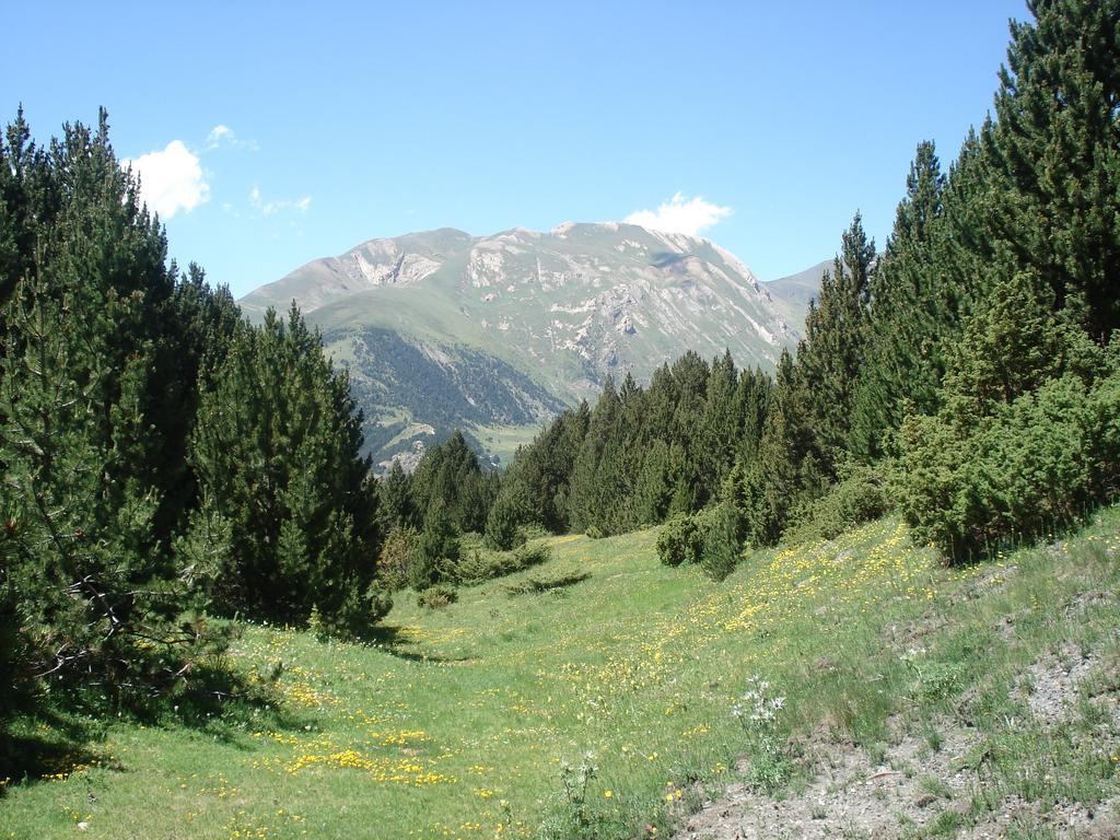 Xalet Riba - Hut 8077 Vila Arinsal Exterior foto